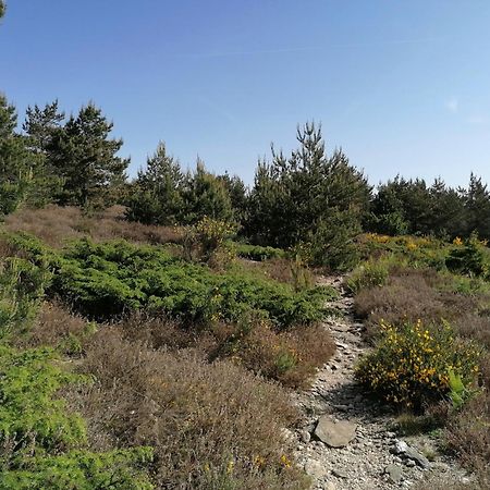 Gite Cote Nature Cabrerolles 外观 照片