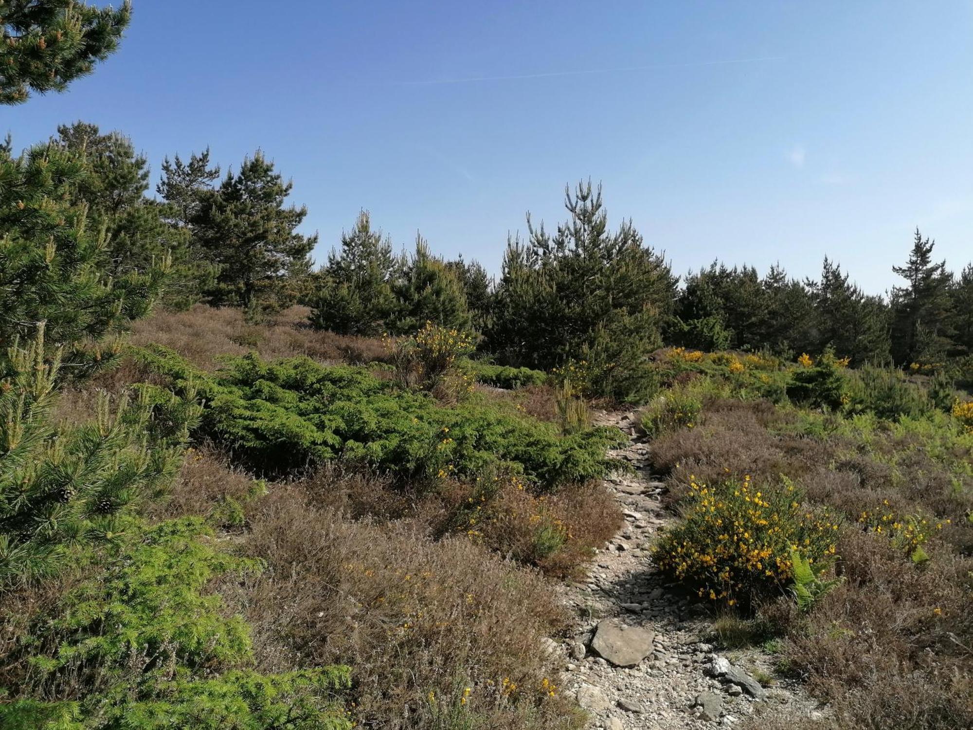 Gite Cote Nature Cabrerolles 外观 照片
